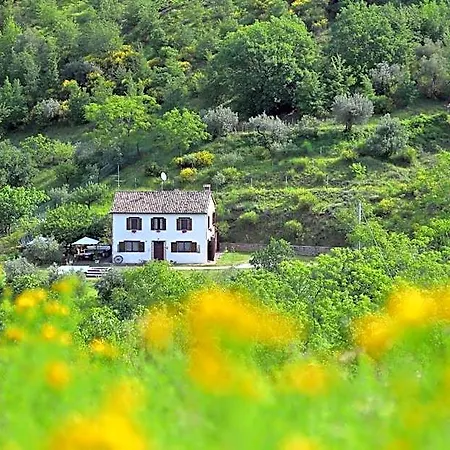 Bed and Breakfast Podere Le Serre 3*