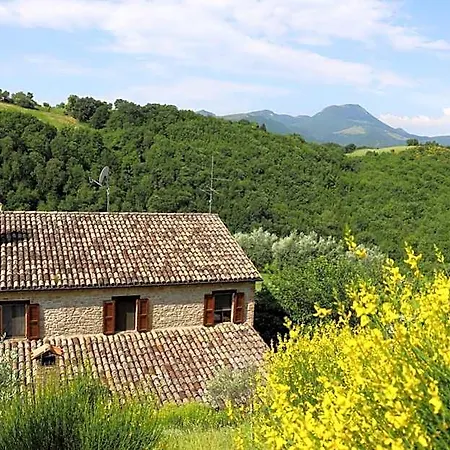 Podere Le Serre Bed and Breakfast 3*